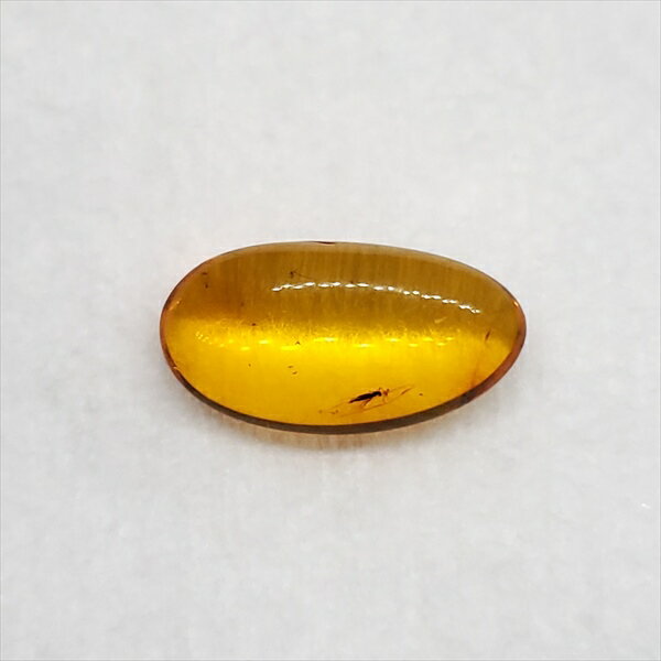 ■虫入り琥珀〈Insects in Amber〉 【化石の大きさ】14.99×7.92×4.53mm 【虫の大きさ】約2mm （一番長い部分） 【化石産地】Balttic Sea バルト海沿岸沿 【英名】Insects in Amber 【...