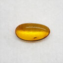 ■虫入り琥珀〈Insects in Amber〉 【化石の大きさ】14.99×7.92×4.53mm 【虫の大きさ】約2mm （一番長い部分） 【化石産地】Balttic Sea バルト海沿岸沿 【英名】Insects in Amber 【時代】古第三紀・漸新世（Oligocene）約3,000万年前 太古の虫を閉じ込めた琥珀 琥珀は木の樹脂の化石。木の樹脂（ヤニ）が地中に昆虫や植物などを取りこんだまま埋没し数千万年もの時間をかけて固化し化石になることがある。ドミニカ共和国産の琥珀の多くはマメ科の植物、バルト海沿岸で産出する琥珀はマツ科の植物が起源と考えられている。太古の虫の様子が観察でき、琥珀の中でも珍重されています こちらの商品は、自身で買い付けに行き、1つ1つ選別した商品です。 この世界に一つしかない自然界からの送りものをコレクションやお子様へのプレゼントとしてお届けできれば幸いです。 ※商品は天然物の為、画像には映らない多少の小傷や欠け等がある可能性、また撮影機材やお客様の端末、環境の違いによって、現物との色合いが違う場合がございます。 ※鑑定書等はございません。 ※こちらの商品は、日本郵便（クリックポスト）にてお届けいたします。