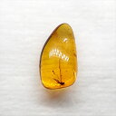 【送料無料】【琥珀/虫入り/anber化石】 美品 虫入り琥珀 琥珀 化石 本物 バルト海産 ケース付き 13.28mm プレゼント ギフト ab201