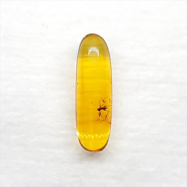 ■虫入り琥珀〈Insects in Amber〉 【化石の大きさ】15.40×4.84×4.09mm 【虫の大きさ】約1.7mm （一番長い部分） 【化石産地】Balttic Sea バルト海沿岸沿 【英名】Insects in Amber...