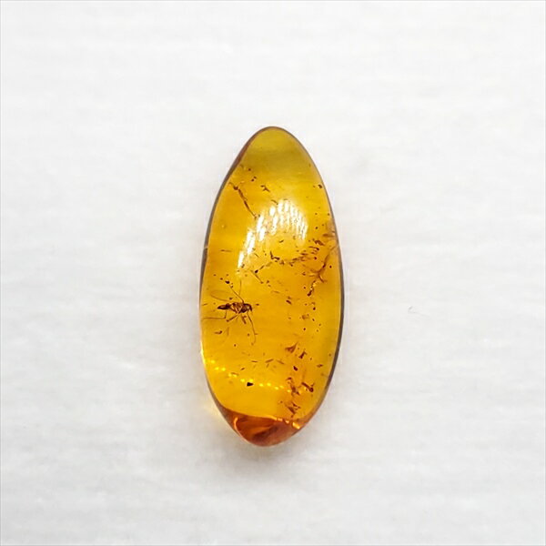 ■虫入り琥珀〈Insects in Amber〉 【化石の大きさ】15.13×6.94×4.14mm 【虫の大きさ】約2.5mm （一番長い部分） 【化石産地】Balttic Sea バルト海沿岸沿 【英名】Insects in Amber 【時代】古第三紀・漸新世（Oligocene）約3,000万年前 太古の虫を閉じ込めた琥珀 琥珀は木の樹脂の化石。木の樹脂（ヤニ）が地中に昆虫や植物などを取りこんだまま埋没し数千万年もの時間をかけて固化し化石になることがある。ドミニカ共和国産の琥珀の多くはマメ科の植物、バルト海沿岸で産出する琥珀はマツ科の植物が起源と考えられている。太古の虫の様子が観察でき、琥珀の中でも珍重されています こちらの商品は、自身で買い付けに行き、1つ1つ選別した商品です。 この世界に一つしかない自然界からの送りものをコレクションやお子様へのプレゼントとしてお届けできれば幸いです。 ※商品は天然物の為、画像には映らない多少の小傷や欠け等がある可能性、また撮影機材やお客様の端末、環境の違いによって、現物との色合いが違う場合がございます。 ※鑑定書等はございません。 ※こちらの商品は、日本郵便（クリックポスト）にてお届けいたします。