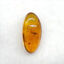 【送料無料】【琥珀/虫入り/anber化石】 美品 虫入り琥珀 琥珀 化石 本物 バルト海産 ケース付き 13.07mm プレゼント ギフト ab228