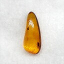 【送料無料】【琥珀/虫入り/anber化石】 美品 虫入り琥珀 琥珀 化石 本物 バルト海産 ケース付き 13.54mm プレゼント ギフト ab248