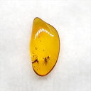 【送料無料】【琥珀/虫入り/anber化石】 美品 虫入り琥珀 琥珀 化石 本物 バルト海産 ケース付き 13.58mm プレゼント ギフト ab253