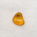 【送料無料】【琥珀/虫入り/anber化石】 美品 虫入り琥珀 琥珀 化石 本物 バルト海産 ケース付き 7.23mm プレゼント ギフト ab293