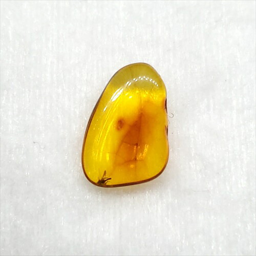 ■虫入り琥珀〈Insects in Amber〉 【化石の大きさ】13×9×3mm 【虫の大きさ】約1.5mm（一番長い部分） 【化石産地】Balttic Sea バルト海沿岸沿 【英名】Insects in Amber 【時代】古第三紀・...