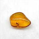 ■虫入り琥珀〈Insects in Amber〉 【化石の大きさ】13.71×10.41×3.92mm 【虫の大きさ】約2.3mm （一番長い部分） 【化石産地】Balttic Sea バルト海沿岸沿 【英名】Insects in Amber 【時代】古第三紀・漸新世（Oligocene）約3,000万年前 太古の虫を閉じ込めた琥珀 琥珀は木の樹脂の化石。木の樹脂（ヤニ）が地中に昆虫や植物などを取りこんだまま埋没し数千万年もの時間をかけて固化し化石になることがある。ドミニカ共和国産の琥珀の多くはマメ科の植物、バルト海沿岸で産出する琥珀はマツ科の植物が起源と考えられている。太古の虫の様子が観察でき、琥珀の中でも珍重されています こちらの商品は、自身で買い付けに行き、1つ1つ選別した商品です。 この世界に一つしかない自然界からの送りものをコレクションやお子様へのプレゼントとしてお届けできれば幸いです。 ※商品は天然物の為、画像には映らない多少の小傷や欠け等がある可能性、また撮影機材やお客様の端末、環境の違いによって、現物との色合いが違う場合がございます。 ※鑑定書等はございません。 ※こちらの商品は、日本郵便（クリックポスト）にてお届けいたします。