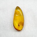 ■虫入り琥珀〈Insects in Amber〉 【化石の大きさ】18.93×8.33×4.05mm 【虫の大きさ】約2mm （一番長い部分） 【化石産地】Balttic Sea バルト海沿岸沿 【英名】Insects in Amber 【時代】古第三紀・漸新世（Oligocene）約3,000万年前 太古の虫を閉じ込めた琥珀 琥珀は木の樹脂の化石。木の樹脂（ヤニ）が地中に昆虫や植物などを取りこんだまま埋没し数千万年もの時間をかけて固化し化石になることがある。ドミニカ共和国産の琥珀の多くはマメ科の植物、バルト海沿岸で産出する琥珀はマツ科の植物が起源と考えられている。太古の虫の様子が観察でき、琥珀の中でも珍重されています こちらの商品は、自身で買い付けに行き、1つ1つ選別した商品です。 この世界に一つしかない自然界からの送りものをコレクションやお子様へのプレゼントとしてお届けできれば幸いです。 ※商品は天然物の為、画像には映らない多少の小傷や欠け等がある可能性、また撮影機材やお客様の端末、環境の違いによって、現物との色合いが違う場合がございます。 ※鑑定書等はございません。 ※こちらの商品は、日本郵便（クリックポスト）にてお届けいたします。