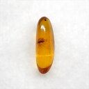 【送料無料】【琥珀/虫入り/anber化石】 美品 虫入り琥珀 琥珀 化石 本物 バルト海産 ケース付き 14.34mm プレゼント ギフト ab249