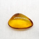 【送料無料】【琥珀/虫入り/anber化石】 美品 虫入り琥珀 琥珀 化石 本物 バルト海産 ケース付き 12.58mm プレゼント ギフト ab261