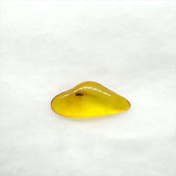 ■虫入り琥珀〈Insects in Amber〉 【化石の大きさ】17.03×7.75×3.37mm 【虫の大きさ】約2.28mm（一番長い部分） 【化石産地】Balttic Sea バルト海沿岸沿 【英名】Insects in Amber 【時代】古第三紀・漸新世（Oligocene）約3,000万年前 太古の虫を閉じ込めた琥珀 琥珀は木の樹脂の化石。木の樹脂（ヤニ）が地中に昆虫や植物などを取りこんだまま埋没し数千万年もの時間をかけて固化し化石になることがある。ドミニカ共和国産の琥珀の多くはマメ科の植物、バルト海沿岸で産出する琥珀はマツ科の植物が起源と考えられている。太古の虫の様子が観察でき、琥珀の中でも珍重されています こちらの商品は、自身で買い付けに行き、1つ1つ選別した商品です。 この世界に一つしかない自然界からの送りものをコレクションやお子様へのプレゼントとしてお届けできれば幸いです。 ※商品は天然物の為、画像には映らない多少の小傷や欠け等がある可能性、また撮影機材やお客様の端末、環境の違いによって、現物との色合いが違う場合がございます。 ※鑑定書等はございません。 ※こちらの商品は、日本郵便（クリックポスト）にてお届けいたします。