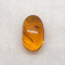【送料無料】【琥珀/虫入り/anber化石】 美品 虫入り琥珀 琥珀 化石 本物 バルト海産 ケース付き 10.65mm プレゼント ギフト ab281