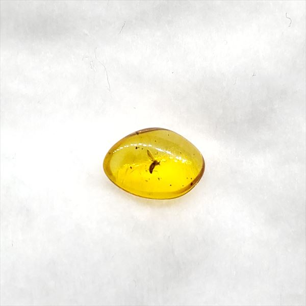 ■虫入り琥珀〈Insects in Amber〉 【化石の大きさ】9.37×6.45×3.28mm 【虫の大きさ】約2mm（一番長い部分） 【化石産地】Balttic Sea バルト海沿岸沿 【英名】Insects in Amber 【時代】古第三紀・漸新世（Oligocene）約3,000万年前 太古の虫を閉じ込めた琥珀 琥珀は木の樹脂の化石。木の樹脂（ヤニ）が地中に昆虫や植物などを取りこんだまま埋没し数千万年もの時間をかけて固化し化石になることがある。ドミニカ共和国産の琥珀の多くはマメ科の植物、バルト海沿岸で産出する琥珀はマツ科の植物が起源と考えられている。太古の虫の様子が観察でき、琥珀の中でも珍重されています こちらの商品は、自身で買い付けに行き、1つ1つ選別した商品です。 この世界に一つしかない自然界からの送りものをコレクションやお子様へのプレゼントとしてお届けできれば幸いです。 ※商品は天然物の為、画像には映らない多少の小傷や欠け等がある可能性、また撮影機材やお客様の端末、環境の違いによって、現物との色合いが違う場合がございます。 ※鑑定書等はございません。 ※こちらの商品は、日本郵便（クリックポスト）にてお届けいたします。