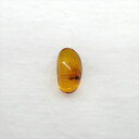 ■虫入り琥珀〈Insects in Amber〉 【化石の大きさ】9.19×5.46×4.16mm 【虫の大きさ】約2mm（一番長い部分） 【化石産地】Balttic Sea バルト海沿岸沿 【英名】Insects in Amber 【時代...