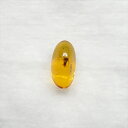 ■虫入り琥珀〈Insects in Amber〉 【化石の大きさ】8.45×4.31×4.13mm 【虫の大きさ】約1.8mm（一番長い部分） 【化石産地】Balttic Sea バルト海沿岸沿 【英名】Insects in Amber 【時代】古第三紀・漸新世（Oligocene）約3,000万年前 【ケースの大きさ】30×30mm 太古の虫を閉じ込めた琥珀 琥珀は木の樹脂の化石。木の樹脂（ヤニ）が地中に昆虫や植物などを取りこんだまま埋没し数千万年もの時間をかけて固化し化石になることがある。ドミニカ共和国産の琥珀の多くはマメ科の植物、バルト海沿岸で産出する琥珀はマツ科の植物が起源と考えられている。太古の虫の様子が観察でき、琥珀の中でも珍重されています こちらの商品は、自身で買い付けに行き、1つ1つ選別した商品です。 この世界に一つしかない自然界からの送りものをコレクションやお子様へのプレゼントとしてお届けできれば幸いです。 ※商品は天然物の為、画像には映らない多少の小傷や欠け等がある可能性、また撮影機材やお客様の端末、環境の違いによって、現物との色合いが違う場合がございます。 ※鑑定書等はございません。 ※こちらの商品は、日本郵便（クリックポスト）にてお届けいたします。