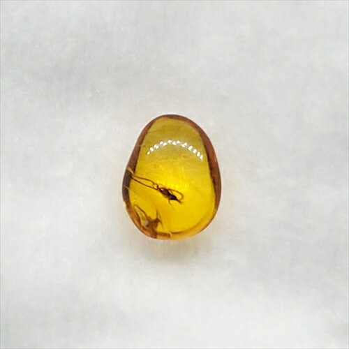 ■虫入り琥珀〈Insects in Amber〉 【化石の大きさ】7.95×5.89×3.27mm 【虫の大きさ】約2mm（一番長い部分） 【化石産地】Balttic Sea バルト海沿岸沿 【英名】Insects in Amber 【時代...