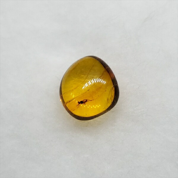 ■虫入り琥珀〈Insects in Amber〉 【化石の大きさ】7.71×7.21×4.61mm 【虫の大きさ】約1.3mm（一番長い部分） 【化石産地】Balttic Sea バルト海沿岸沿 【英名】Insects in Amber 【時代】古第三紀・漸新世（Oligocene）約3,000万年前 【ケースの大きさ】30×30mm 太古の虫を閉じ込めた琥珀 琥珀は木の樹脂の化石。木の樹脂（ヤニ）が地中に昆虫や植物などを取りこんだまま埋没し数千万年もの時間をかけて固化し化石になることがある。ドミニカ共和国産の琥珀の多くはマメ科の植物、バルト海沿岸で産出する琥珀はマツ科の植物が起源と考えられている。太古の虫の様子が観察でき、琥珀の中でも珍重されています こちらの商品は、自身で買い付けに行き、1つ1つ選別した商品です。 この世界に一つしかない自然界からの送りものをコレクションやお子様へのプレゼントとしてお届けできれば幸いです。 ※商品は天然物の為、画像には映らない多少の小傷や欠け等がある可能性、また撮影機材やお客様の端末、環境の違いによって、現物との色合いが違う場合がございます。 ※鑑定書等はございません。 ※こちらの商品は、日本郵便（クリックポスト）にてお届けいたします。