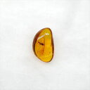 ■虫入り琥珀〈Insects in Amber〉 【化石の大きさ】9.33×5.79×3.66mm 【虫の大きさ】約2mm（一番長い部分） 【化石産地】Balttic Sea バルト海沿岸沿 【英名】Insects in Amber 【時代】古第三紀・漸新世（Oligocene）約3,000万年前 【ケースの大きさ】30×30mm 太古の虫を閉じ込めた琥珀 琥珀は木の樹脂の化石。木の樹脂（ヤニ）が地中に昆虫や植物などを取りこんだまま埋没し数千万年もの時間をかけて固化し化石になることがある。ドミニカ共和国産の琥珀の多くはマメ科の植物、バルト海沿岸で産出する琥珀はマツ科の植物が起源と考えられている。太古の虫の様子が観察でき、琥珀の中でも珍重されています こちらの商品は、自身で買い付けに行き、1つ1つ選別した商品です。 この世界に一つしかない自然界からの送りものをコレクションやお子様へのプレゼントとしてお届けできれば幸いです。 ※商品は天然物の為、画像には映らない多少の小傷や欠け等がある可能性、また撮影機材やお客様の端末、環境の違いによって、現物との色合いが違う場合がございます。 ※鑑定書等はございません。 ※こちらの商品は、日本郵便（クリックポスト）にてお届けいたします。