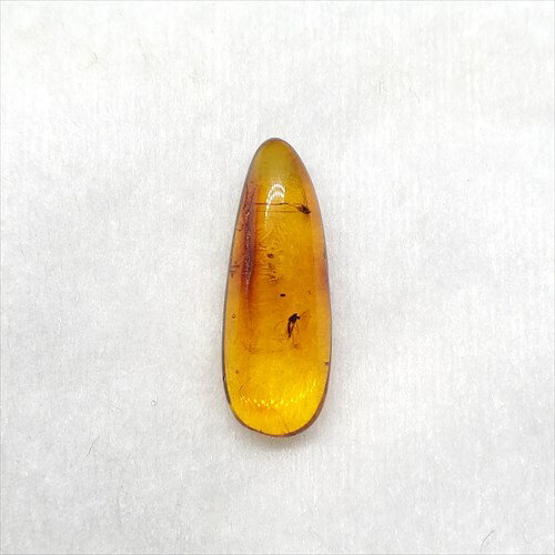 ■虫入り琥珀〈Insects in Amber〉 【化石の大きさ】19.06×7.10×4.64 【虫の大きさ】約1.5mm &約2mm（一番長い部分） 【化石産地】Balttic Sea バルト海沿岸沿 【英名】Insects in Amber 【時代】古第三紀・漸新世（Oligocene）約3,000万年前 【ケースの大きさ】40×40mm 太古の虫を閉じ込めた琥珀 琥珀は木の樹脂の化石。木の樹脂（ヤニ）が地中に昆虫や植物などを取りこんだまま埋没し数千万年もの時間をかけて固化し化石になることがある。ドミニカ共和国産の琥珀の多くはマメ科の植物、バルト海沿岸で産出する琥珀はマツ科の植物が起源と考えられている。太古の虫の様子が観察でき、琥珀の中でも珍重されています こちらの商品は、自身で買い付けに行き、1つ1つ選別した商品です。 この世界に一つしかない自然界からの送りものをコレクションやお子様へのプレゼントとしてお届けできれば幸いです。 ※商品は天然物の為、画像には映らない多少の小傷や欠け等がある可能性、また撮影機材やお客様の端末、環境の違いによって、現物との色合いが違う場合がございます。 ※鑑定書等はございません。 ※こちらの商品は、日本郵便（クリックポスト）にてお届けいたします。