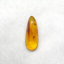 ■虫入り琥珀〈Insects in Amber〉 【化石の大きさ】19.06×7.10×4.64 【虫の大きさ】約1.5mm &約2mm（一番長い部分） 【化石産地】Balttic Sea バルト海沿岸沿 【英名】Insects in Am...