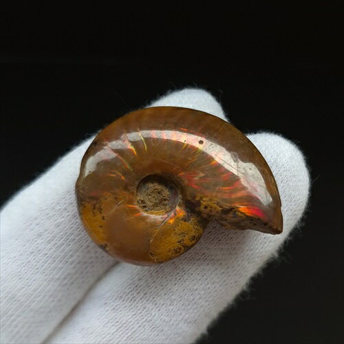 【送料無料】【虹色/アンモナイト/化石】 美品 アンモナイト 化石 本物 マダガスカル産 30.44mm プレゼント ギフト an644