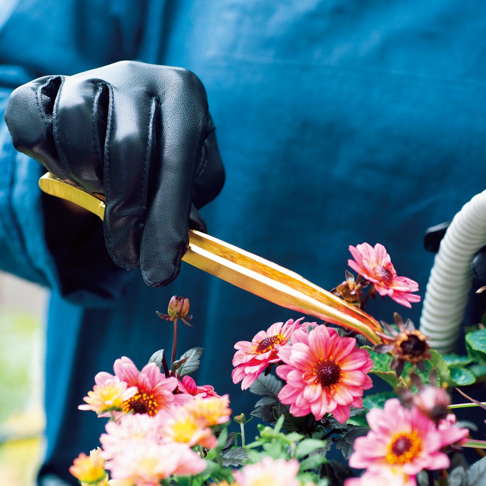 諏訪田のピンセット（ゴールド） ガーデニングツール 庭手入用品 G86504 ＼レビューキャンペーン開催中／