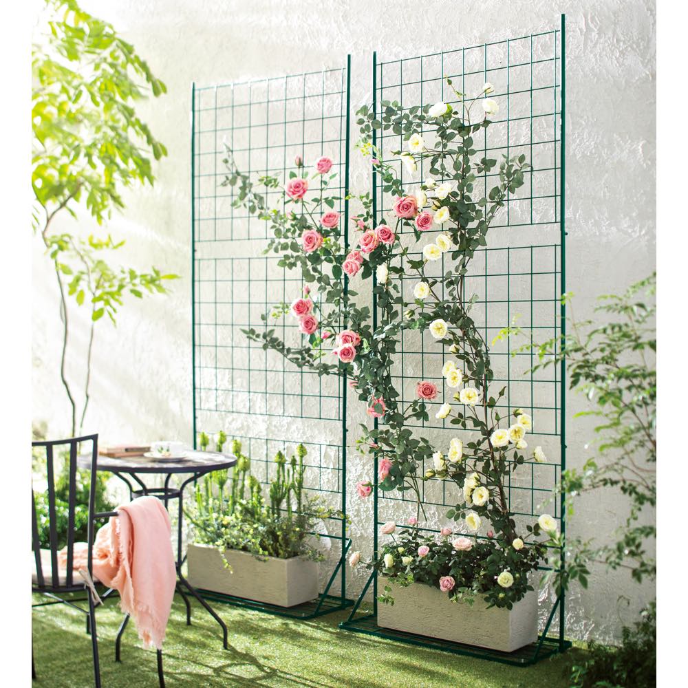 プランター台付きローズトレリス グリーン1枚 G86610 \レビューキャンペーン開催中/