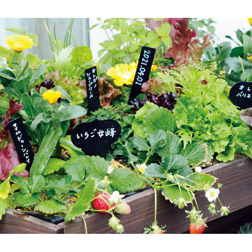 プランツネーム ストレートプレート 18本組 ガーデニンググッズ G85604 \レビューキャンペーン開催中/