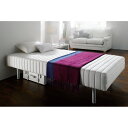 【クーポン配布中&ポイント5倍 7/11 1:59迄】 ベッド 【ハイタイプ・脚高25高さ47.5cm】France Bed/フランスベッド 軽くて丈夫な脚付きマットレスベッド 526233