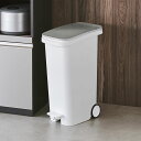 キッチン 分別 掃除用品 光沢がおしゃれなキャスター付きダストボックス SMOOTH 542979 【レビューキャンペーン開催中】