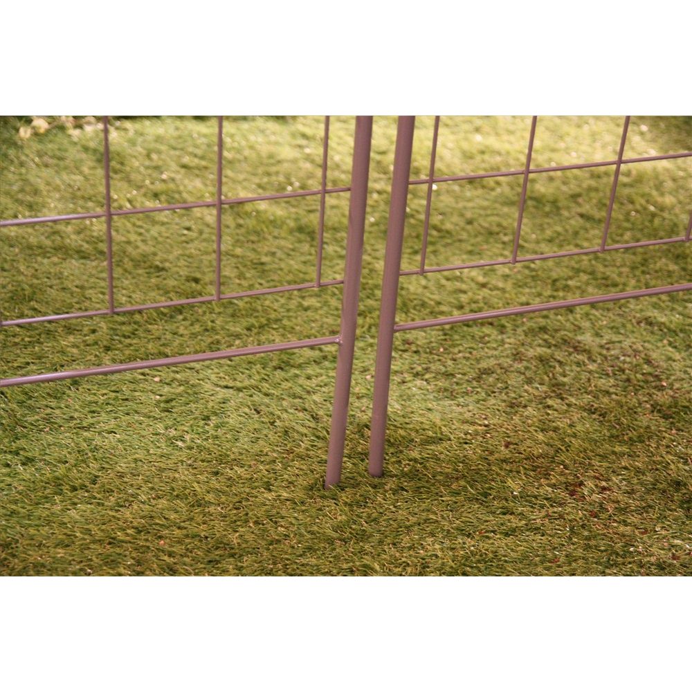 �ں���8000��OFF�����ݥ� 2��11������ ����ץ륯�饤�ߥ󥰥ե��� ����� 2���� G86709 ��LINEͧ������Ͽ�ǥ����ݥ�