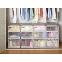 Fits フィッツ収納ケース クローゼットタイプ 奥行53cm 幅39cm 高さ23cm 2個組 収納ボックス 小物収納 フリーボックス 545812 【レビューキャンペーン開催中】
