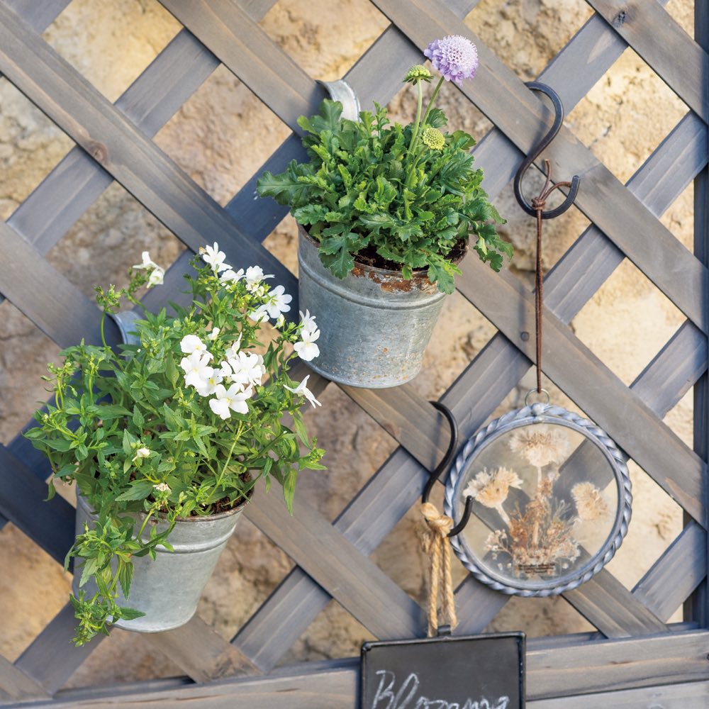 �ں���8000��OFF�����ݥ� 2��11������ �����ե��� ��ʹ⤵180cm�� G86209 ��LINEͧ������Ͽ�ǥ����ݥ�