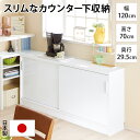 【最大7千円OFFクーポン 7/26 1:59まで】 キャビネット リビングボード リビング収納 引き戸カウンター下収納庫 奥行29.5高さ70cmタイプ 収納庫・幅120cm 528219