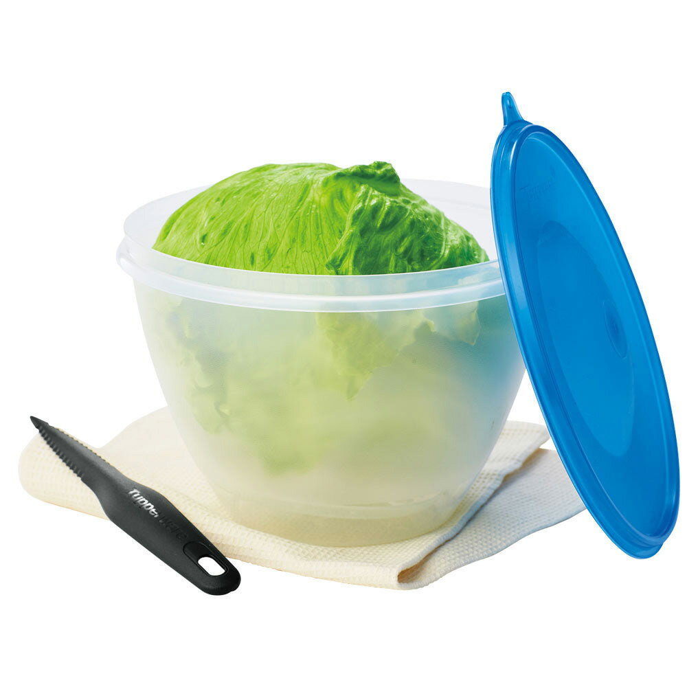 レビュー記入でクーポン配布 保存容器類 キッチン用品 キッチングッズ ガラス Tupperware/タッパーウェア　レタスがまるごと保存できる容器 WJ1198