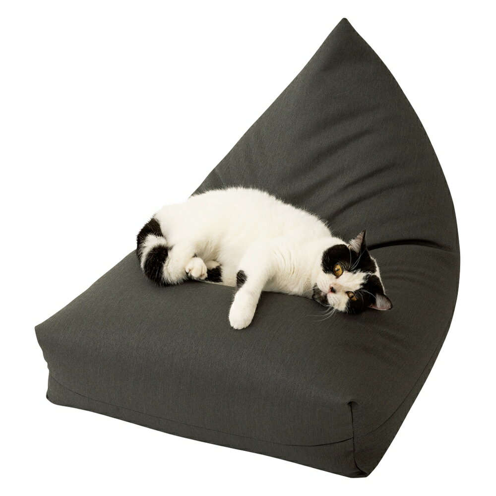 旅行用品 ホビー ペット ペット用品 猫と暮らす家具 家具 収納 ソファー 引っかきに強い ビーズクッション 683436