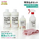 \LINE友だち登録で200円オフクーポン/ 石鹸 ハウスキーピング 洗浄剤 洗剤 排水溝 ヌメリ 黒カビ 臭い 排水口 お風呂 浴室 水まわり 詰まり 業務用 強力パイプ洗浄剤 「ピカットロンプロ」特別セット AR2503