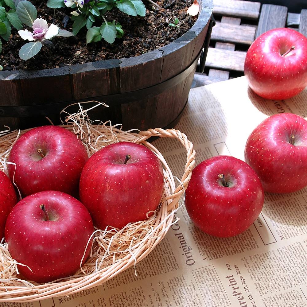 山形産 早生ふじ 3kg【9月下旬頃-お届け】 フルーツ 野菜 果物 NH2190 ＼LINE友だち登録でクーポン／