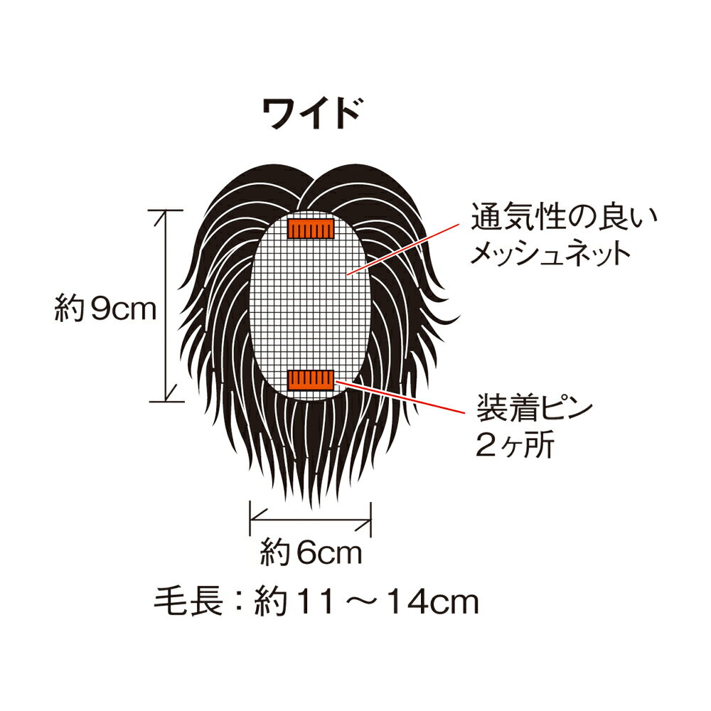 人毛100％ 簡単ヘアピース ワイド ウィッグ ヘアケア M78604 ＼LINE友だち登録でク...