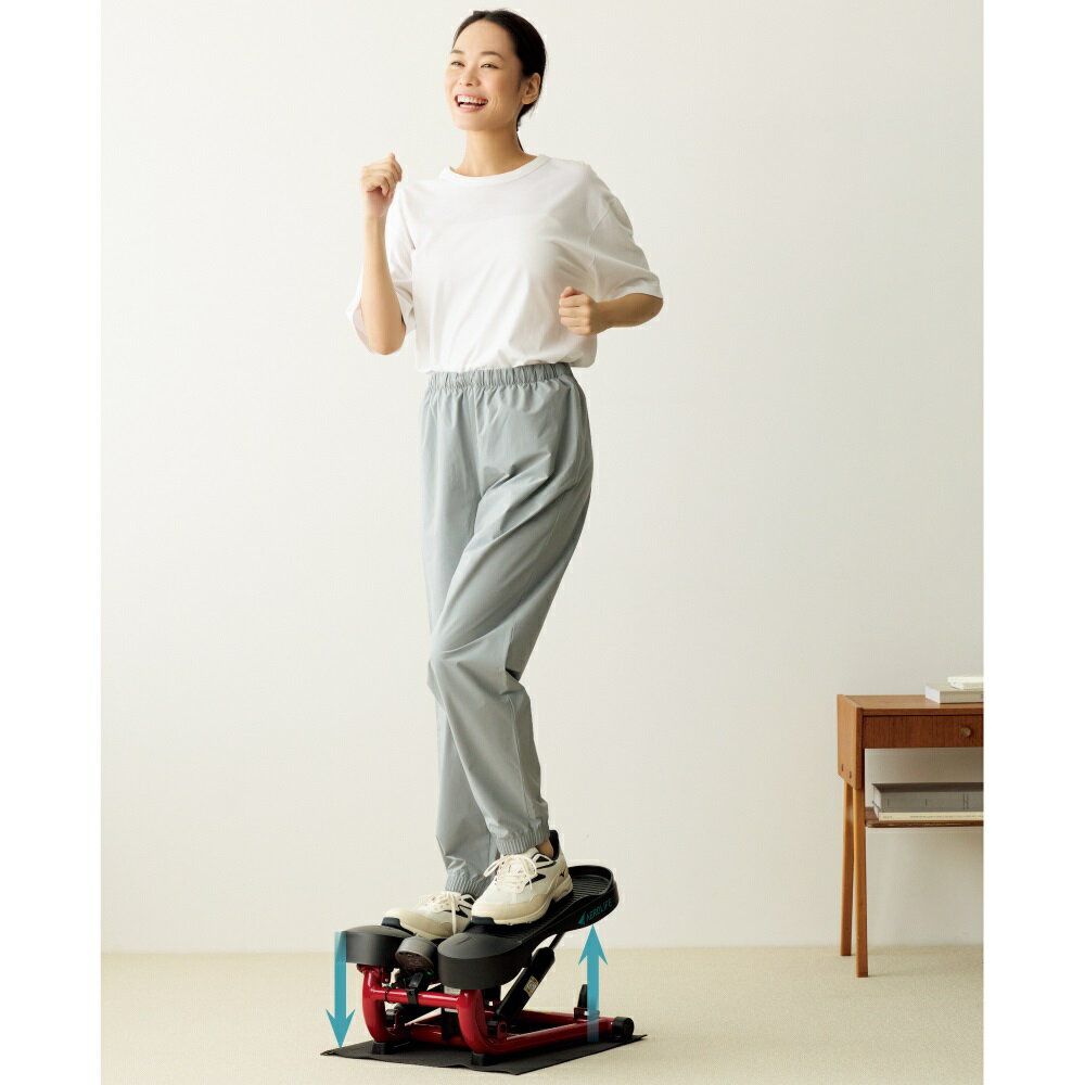 AEROLIFE/エアロライフ ストレッチステッパー エクササイズ ス...(4.0)