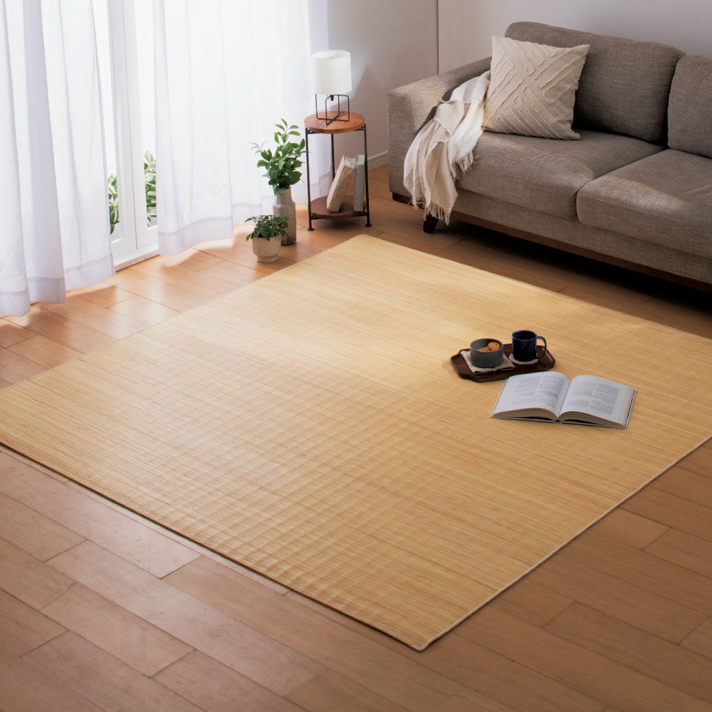 乐天商城 - 【クーポン配布 お買い物マラソン中】 ≪約200×300cm≫ 39穴の籐ラグ カーペット ラグ マット 654544 ＼LINE友だち登録でクーポン／