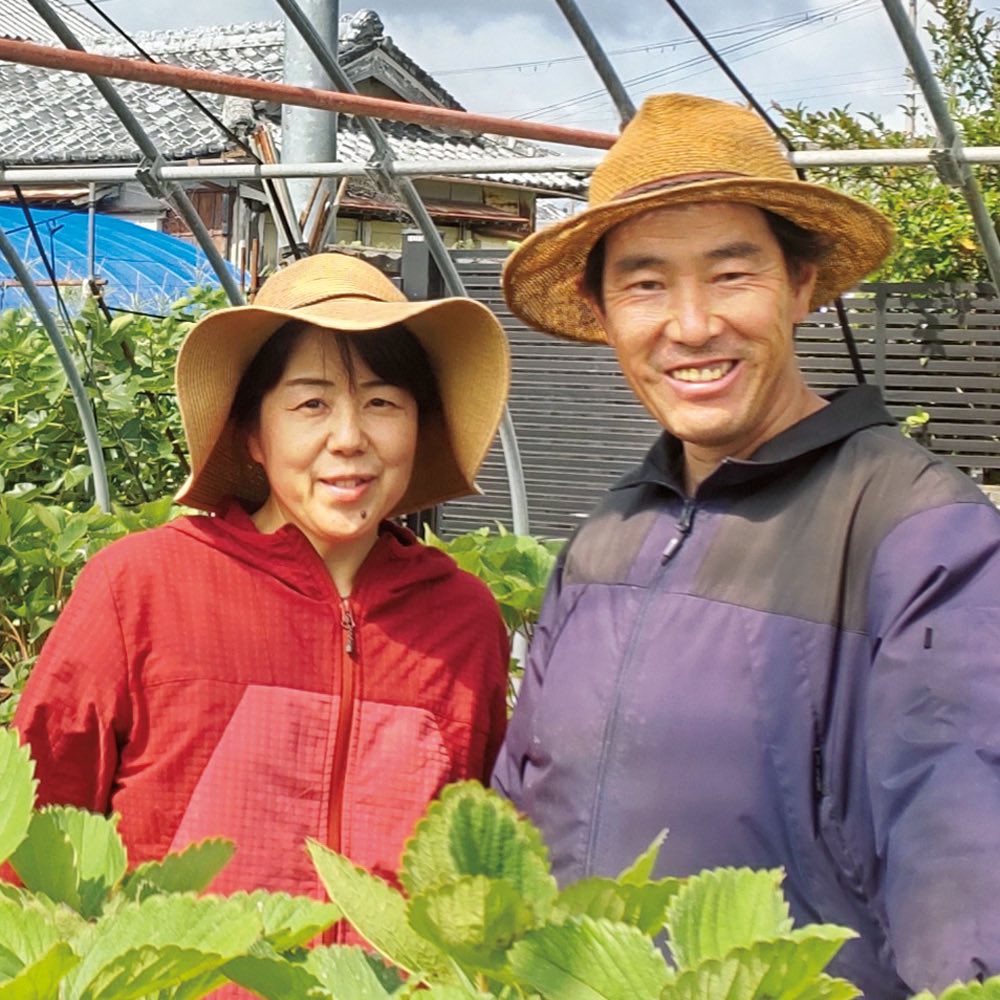 �ڥ����ݥ����5���OFF 1/24 20������4h����� �²λ��� �������֤ޤ�Ҥ�� 360g��15�ġ� ��2����-3��ܺ����Ϥ��� �ե롼�� ��� ��ʪ NH1555 ��LINEͧ������Ͽ�ǥ����ݥ�