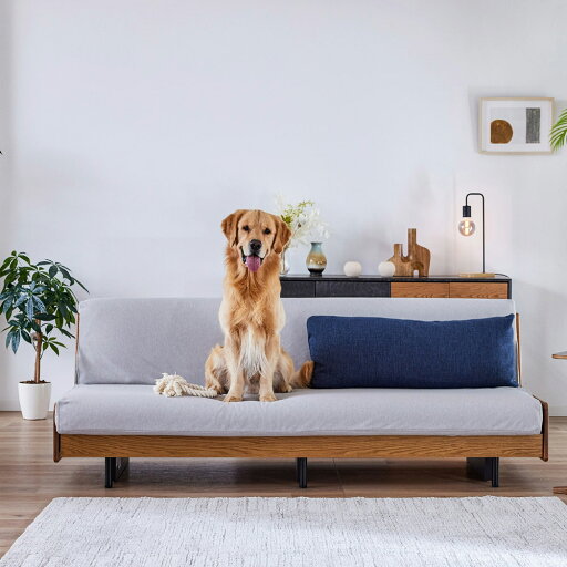 人掛けソファーカバー ソファーカバー Paxon/パクソン ソファベッド 幅199cm専用ペット対応カバー H70893 人掛けソファーカバー ソファーカバー Paxon/パクソン ソファベッド 幅199cm専用ペット対応カバー H70893