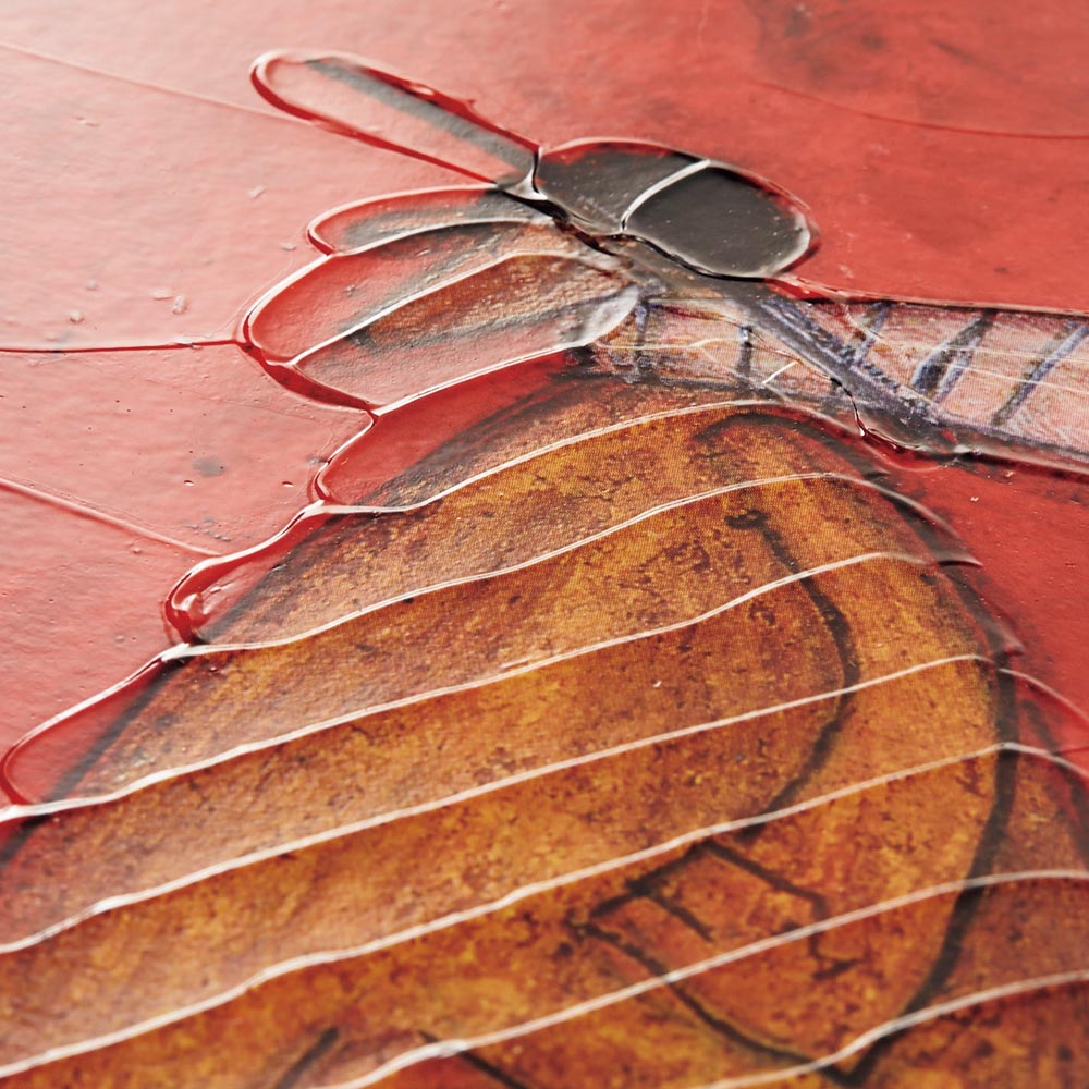 Sam Toft/����ȥե� �����ȥե졼�� M 1�� ���� �����ȥե졼�� ������ ��������ǥ��졼����� H92622 ��LINEͧ������Ͽ�ǥ����ݥ�