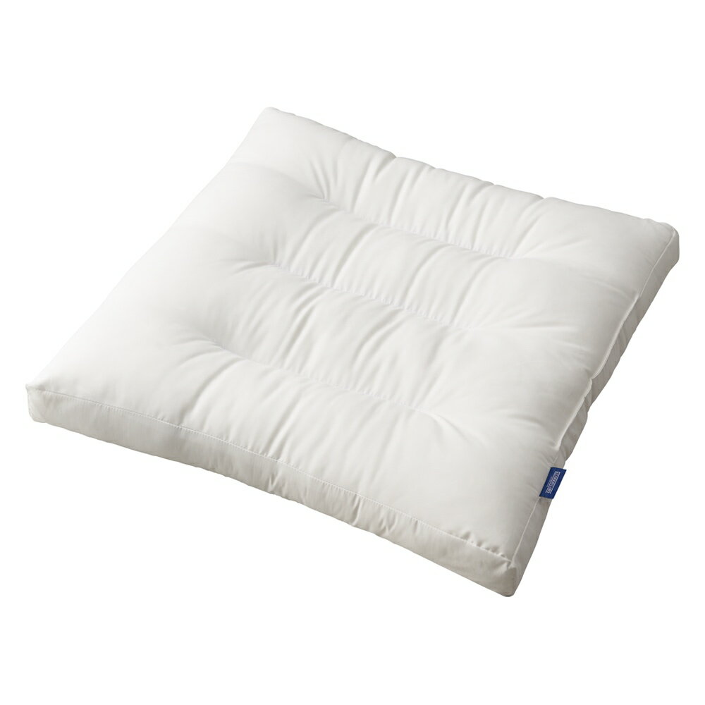 マシュマロクッション中材 約55×55cm（座布団タイプ） カバー類 602408 ＼LINE友だち登録でクーポン／