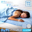 肌掛け布団 ダウンケット ≪セミダブル≫ ひんやり吸湿・発散寝具 コールドメッシュシリーズ ひんやりメッシュケット 561308