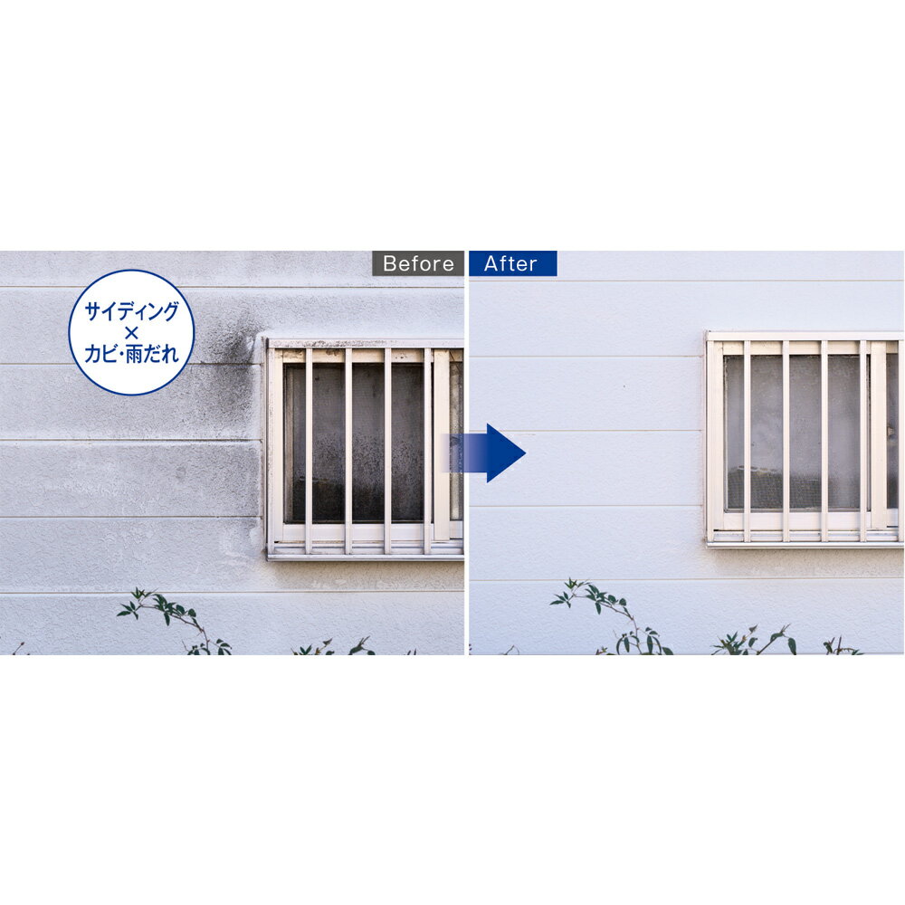 �ڥ����ݥ�10��OFF 3/11 1��59���� ��4kg�ܥȥ��1�ܡ�����92��ʬ�� �����ץ졼�ܥȥ��1�ܢ�ץ��Υϥ������꡼�ʡ����Ȥ����Ӽ�������� BeO �ӡ��� ���Ӽ��� �ݽ� ������������ 622856 ��LINEͧ������Ͽ�ǥ����ݥ�