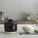 電子レンジ調理器具 キッチンツール 伊賀ノ匠 電子レンジ専用炊飯器0.5-1合炊き お得な2個セット 540702