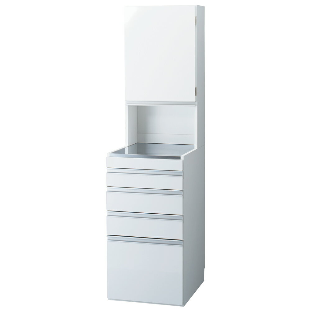 ［幅45奥行55高さ170cm］ダブルステンレス天板隙間収納庫 日本製 光沢仕上げ キッチンストッカー 隙間収納 キッチン収納 630327 ＼LINE友だち登録でクーポン／