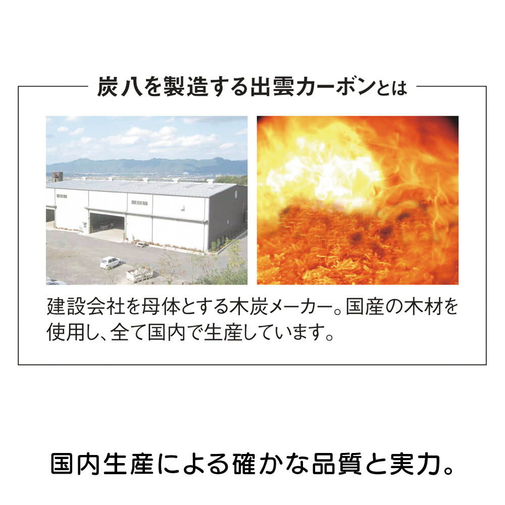 調湿木炭「出雲屋 炭八」 0.4リットル6個組 日用品 便利グッズ 生活雑貨 651104 ＼LINE友だち登録でクーポン／ dinos-11340951 ディノス楽天市場店 サンプル画像3